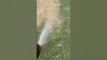 Leveling the lawn
