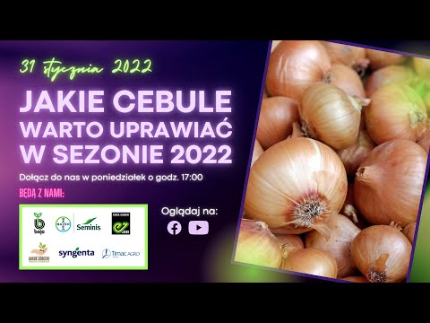 Jakie cebule warto uprawiać w sezonie 2022