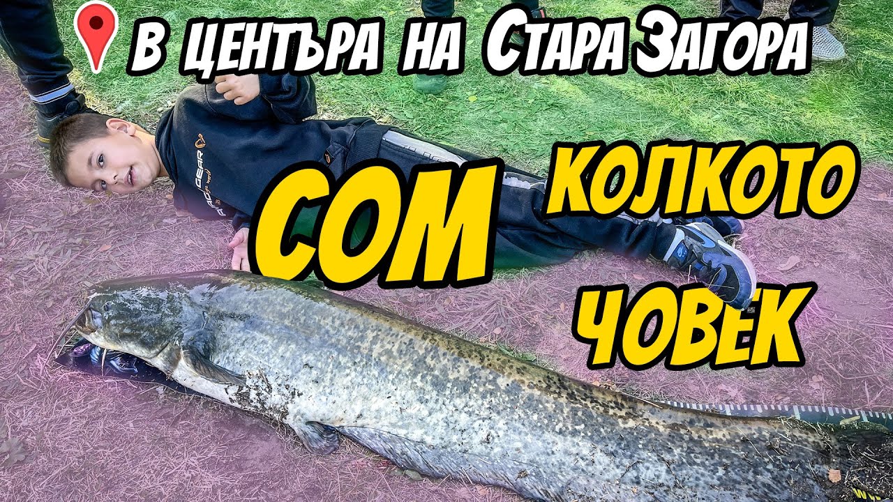 ЧУДОВИЩЕ В ЗАРАТА! РИБА ГОЛЯМА колкото ЧОВЕК! Риболов на щука