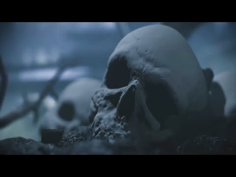 Infected Mushroom - Disco Mushroom (Reborn) - - - [[Full Visual Trippy Videos Set]] - - - [Getafix]