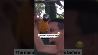 He’s vibing with the beat