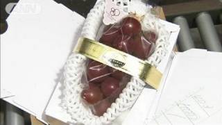 一粒2万円！一房50万円の高級ぶどう　初セリ（11/07/29）