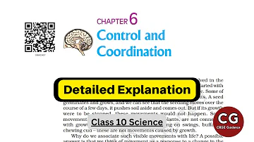 Control and Coordination (Chapter 6) NCERT Class 10 Full Chapter