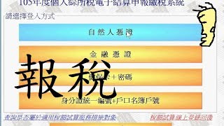 3.【106年網路報稅】 詳細版  Tax return