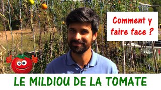 LE MILDIOU DE LA TOMATE / Comment faire avec