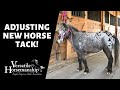 🔴 ADJUSTING NEW HORSE TACK! (live-stream) // Versatile Horsemanship