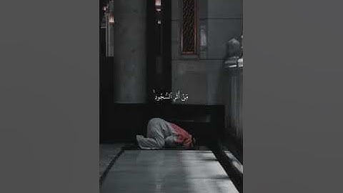 سورة محمد - سورة 47 - عدد آياتها 38. قراءة خاشعة وشافية لنفس