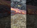 Banana thrown into icelandic volcano lava at reykjanes will it survive