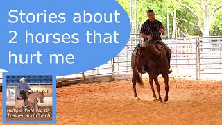 2 horses that hurt me
