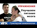 УПРАЖНЕНИЯ. Улучшаем питание мозга . 2 простые техники