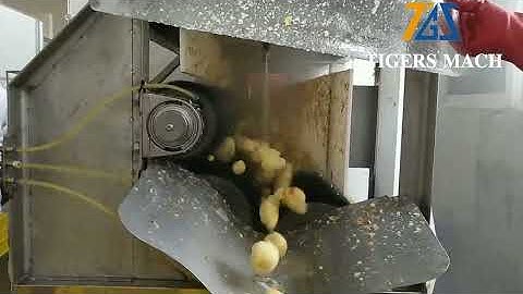 Factory use ginger peeled/sliced/diced machine on sale from automatic ginger processing equipment
