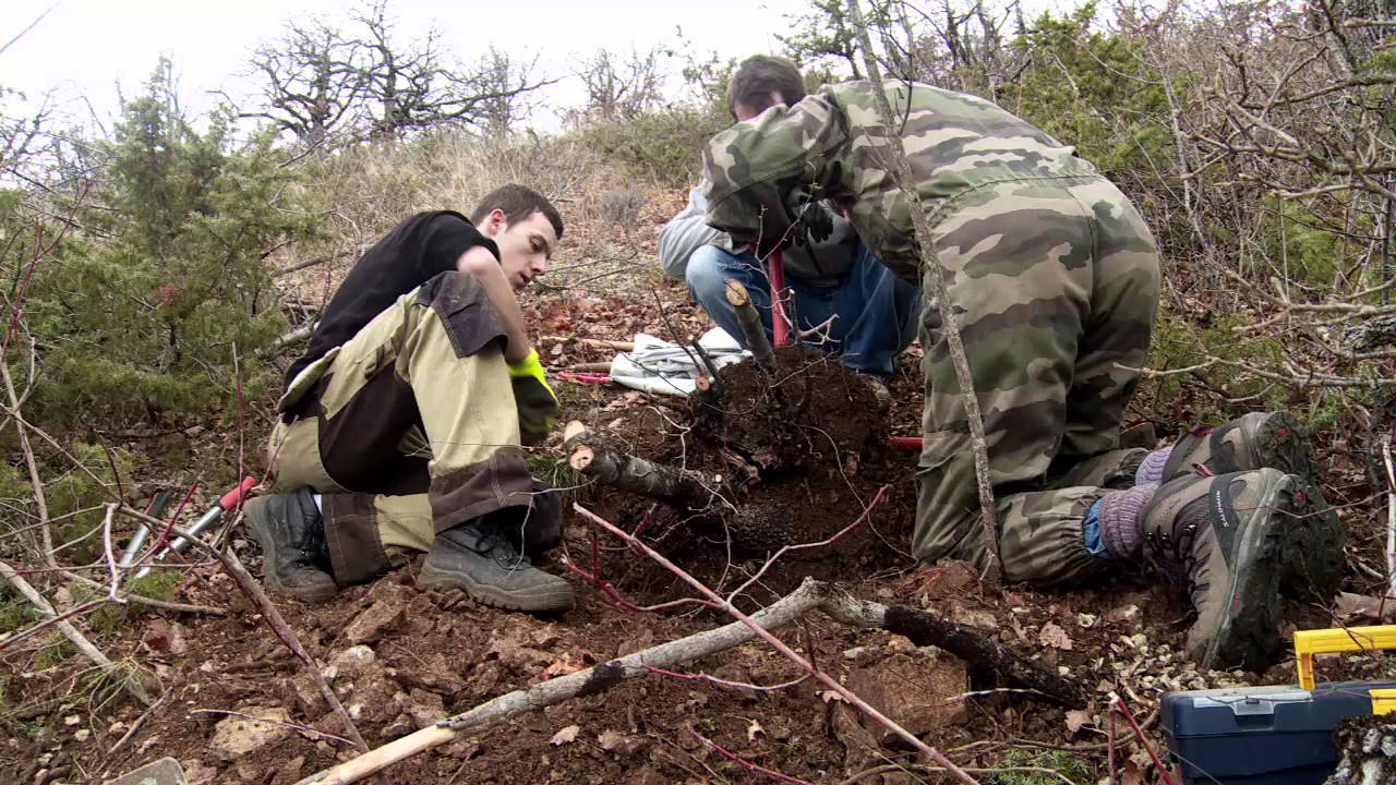 2016 01 30 PRELEVEMENTS V2