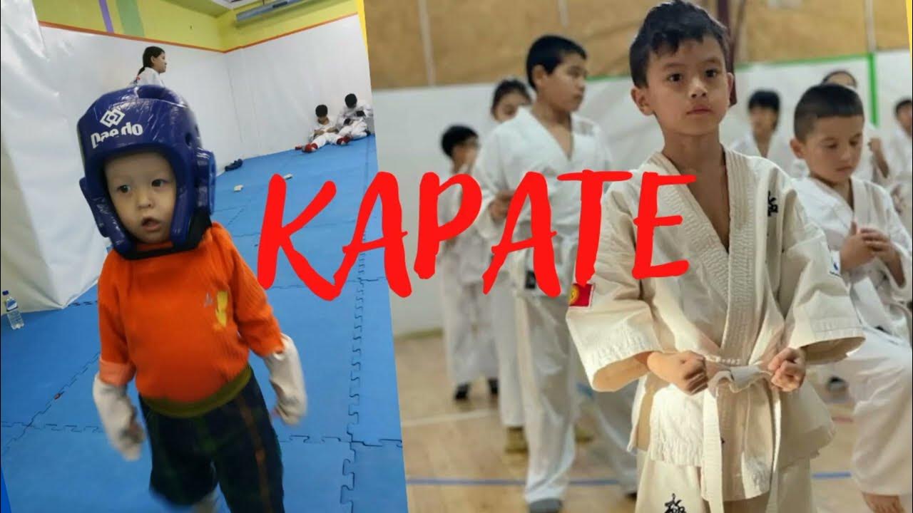 Ката каратэ киокушинкай