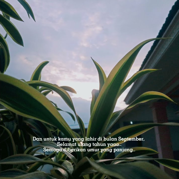 SELAMAT ULANG TAHUN PENGHUNI BULAN SEPTEMBER 🥰🥰🥰
