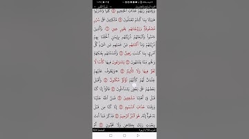 سورة الطور من ايه ٢١-٣١)التجويد المبسط للمبتدئين