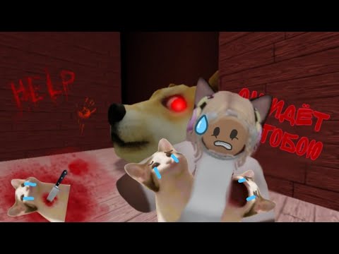 Видео: 🐱спасаю котят от злых собак в roblox!😨 прохождение Побег из головы дожа в roblox (перепрохождение)🐶