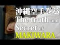 The truth and secret of Makiwara｜巻藁の本当の意味とは｜剛柔流 gojyu-ryu｜八木一平 Ippei Yagi｜沖縄伝統空手