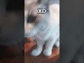 xD
