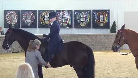 Leigh Ann Stuart   The Art of Riding Horseback   T...