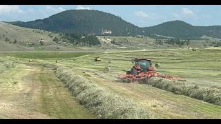Haying in Avon Montana
