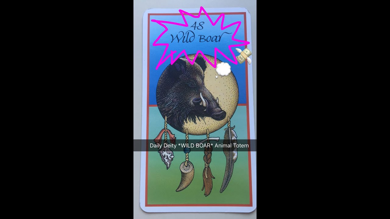 Daily Deity *Wild Boar* Animal Totem