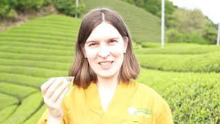 Japanese Tea Marathon - Trailer 2