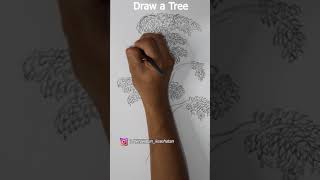 TES MENGGAMBAR POHON | DRAW A TREE #shorts