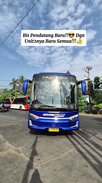 bis pendatang baru yg sukses!! #bus #bismaniacommunity