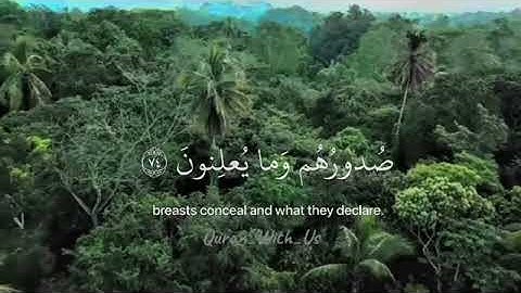 {وَإِنَّ رَبَّكَ لَيَعْلَمُ مَا تُكِنُّ صُدُورُهُمْ وَمَا يُعْلِنُونَ}[سورة النمل: 74]