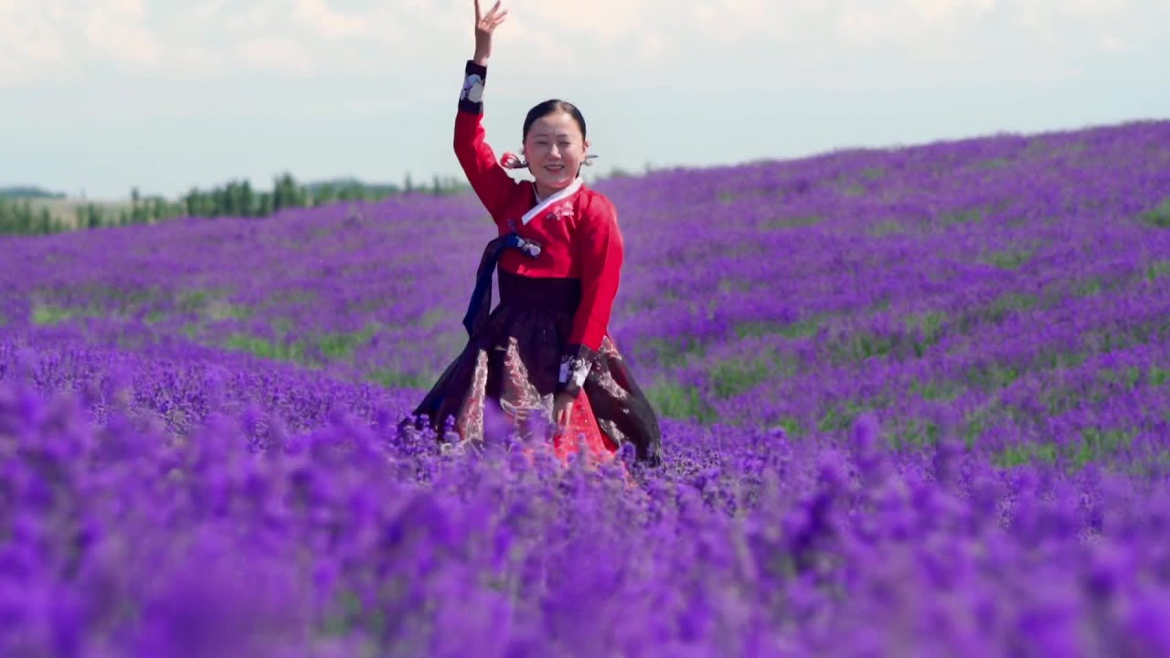 祝大家中秋节快乐,感谢一直以来支持我们的朋友们。田姐姐在新疆伊犁霍城薰衣草海跳了第50支舞。#霍城薰衣草 #新疆伊犁到底有多美 #伊犁加油新疆加油