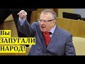Недовольный выборами Жириновский выступил в Думе