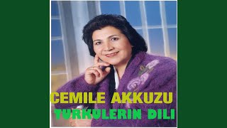 Ayrılık Hasreti