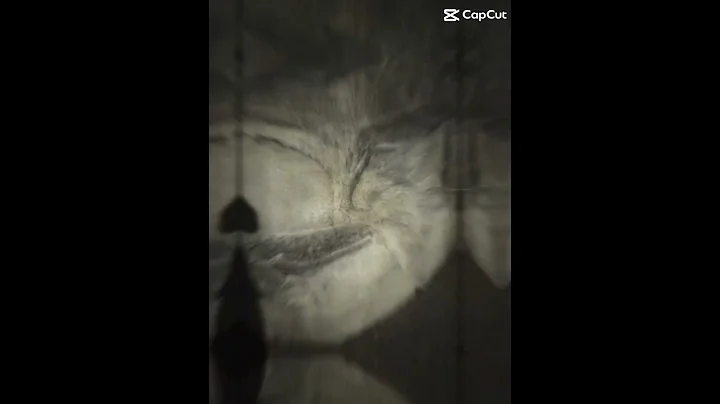 The good old days… #capcut#sad#memories#goodolddays#shorts#music#nostalgia