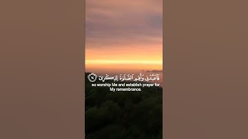 سورة طه - الآية 13 🖤🍃 - الشيخ أحمد خضر ..