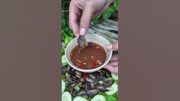 Chiên cá rô tôm tít những ngày mưa | Tạ Công Bằng Official