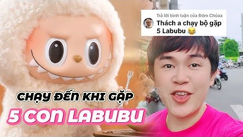 [FULL] Thử Thách Chạy Đến Khi Gặp 5 Con LABUBU | Cáo Nhỏ Channel