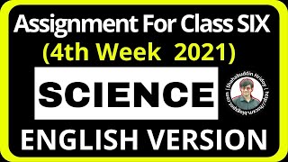 Science Assignment Class 6 English Version 4th Week 2021 Ev Science Assignment 2021 Class Six