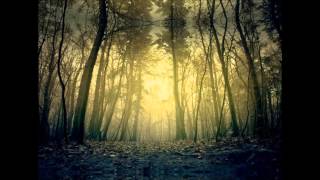 Ariana Silver  Darkness Falls