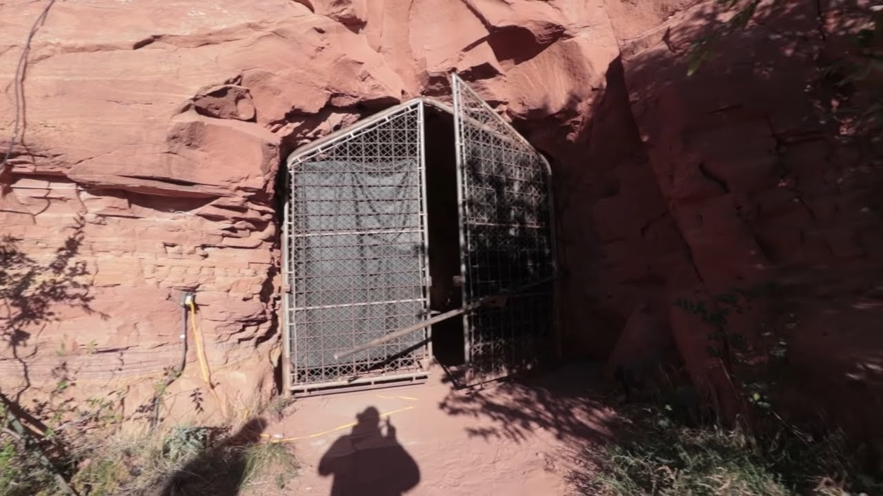 We Found A SECRET Underground Survival Tunnel System