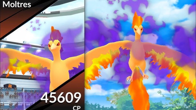 Purified shiny moltres, shiny moltres and shadow moltres 💪😇#fyp  #sunnymalton #viral #shinymoltres #niantic #toronto #ontario #chicken