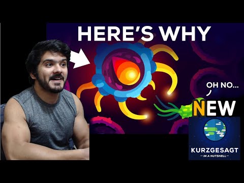 You Are Immune Against Every Disease (Kurzgesagt) CG Reaction