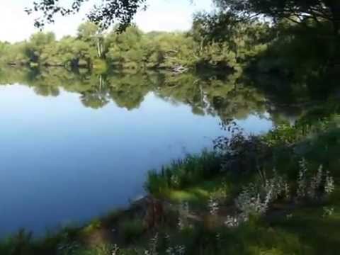 Die Ricklinger Kiesteiche