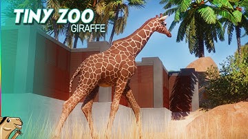 Giraffes, Zebras & Walls - Tiny Zoo #16 Planet Zoo Hardmode Gameplay