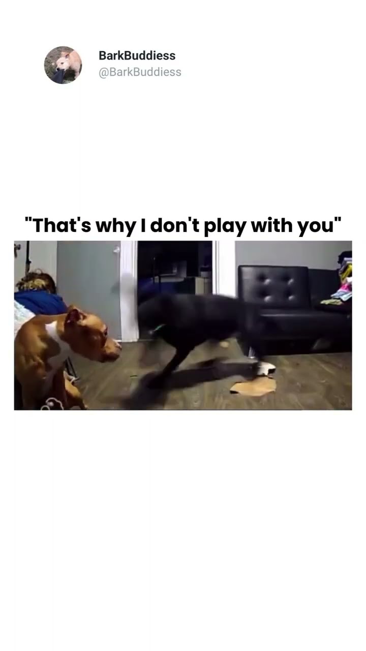 When bro just vibing and he wanna play with prvnci but scheming on me playing