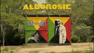 Alborosie - Calling Selassie | Official Audio