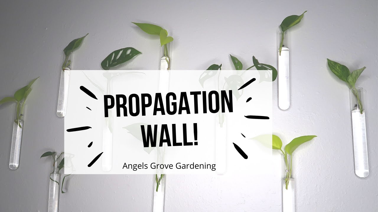 How to make a minimal propagation wall