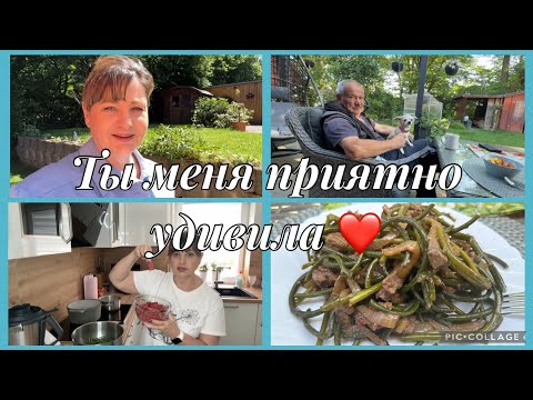 Посылка сюрприз,навели порядок в саду,салат по маминому рецепту из говядины и чесночных стрел😋