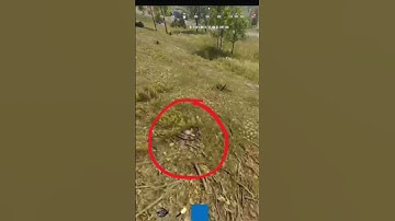 Rust bear trap TRAP!