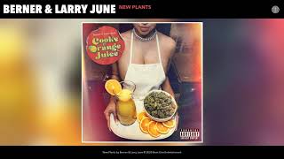 Berner & Larry June - New Plants (Audio )