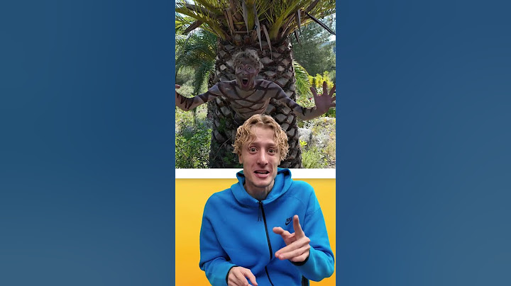 TOP 10 DES MEILLEURS CAMOUFLAGES